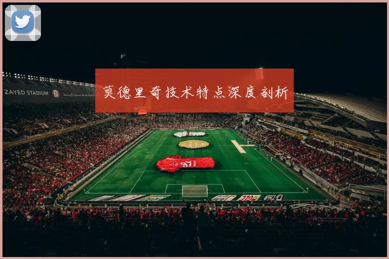 莫德里奇技术特点深度剖析